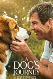 A Dog’s Journey (2019) หมา เป้าหมาย และเด็กชายของผม 2
