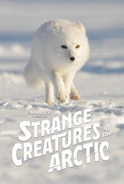 STRANGE CREATURES OF THE ARCTIC (2022)